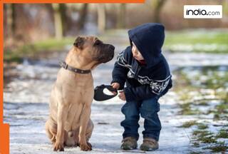 This country has the most dogs in the world, China stands third, Russia fifth, the country is..., India’s numbers will surprise you...