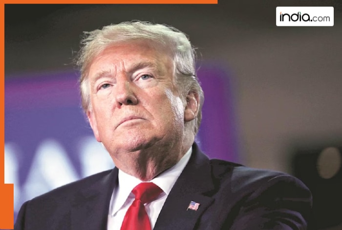 Amul, Parle, Godrej… What’s Indian companies gateway to avoid Trump tariffs? they can…