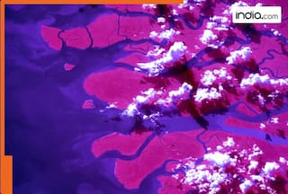 How does river Ganga look from space? NASA releases stunning picture from ISS that will leave you dazzled