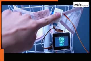 Truth behind Japan’s anti-cheating bra decoded: What is it, how does it work; Is it real