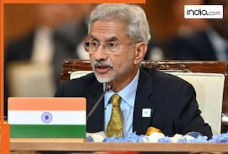 'Net losers if...': Jaishankar's stern reply to US, Europe on 'restricting' skilled workers amid H-1B visa woes