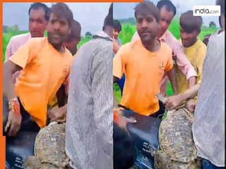 Magarmach Ka Video: बाढ़ के पानी से लड़कों ने दबोच लिया मगरमच्छ, फिर बांधकर बाइक से ले भागे | देखें वीडियो