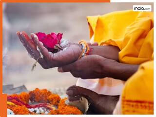 ऑनलाइन पिंडदान योजना पर VHP और पंडा नाराज, बोले-सनातन धर्म का महत्व हो रहा है कम