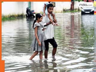 India Rains Big Updates: IMD predicts heavy rain, thunderstorm in Delhi, Orange alert issued for UP