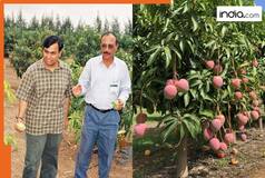 Mukesh Ambani owns Asia's largest mango orchard, over 200 varieties of mangoes are produced here, it was set up due to..., is named after...