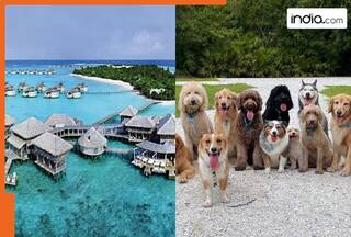 Only state in India with no dogs and snakes, even tourists are not allowed to bring them, state with zero dogs and snakes is...