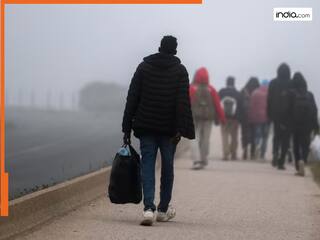 भारतीय नागरिकों को ब्रिटेन ने दिया झटका, निर्वासन के बाद अपील वाली सूची में किया शामिल, समझिए क्या है ये आदेश