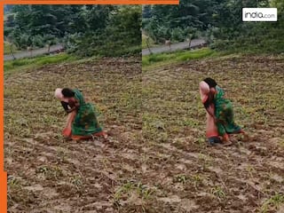 Fight Ka Video: दो महिलाओं में अचानक बिगड़ गई बात, फिर खेत में ही होने लगी पटका-पटकी | देखें वीडियो