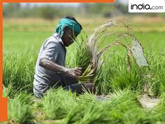 Kisan Samman Nidhi: इन किसानों को नहीं मिलेगी सम्मान निधि की 21वीं किस्त, खाते में चाहिए 2000 तो पूरे करने होंगे ये 3 काम