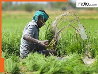 Kisan Samman Nidhi: इन किसानों को नहीं मिलेगी सम्मान निधि की 21वीं किस्त, खाते में चाहिए 2000 तो पूरे करने होंगे ये 3 काम