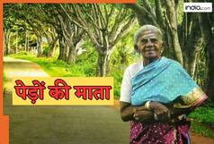 इस बूढ़ी महिला ने 1,00,000 से भी ज्यादा पेड़ लगाए...! पेड़ों की माता के नाम से है मशहूर...राष्ट्रपति से मिल चुका है सम्मान
