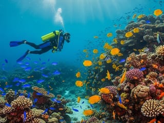 7 Tourist Attractions In Andaman & Nicobar That Will Make You Fall In Love With Island Life