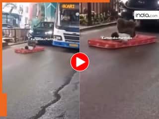 चलती गाड़ियों के बीच गद्दा बिछाकर सो गया शख्स! बेंगलुरु की सड़क पर अजीबोगरीब हरकत, वीडियो वायरल