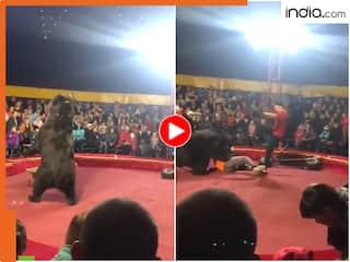 खेल-खेल में भालू ने खोया आपा, अपने मालिक पर कर दिया हमला! Viral Video में जो हुआ उसे देख कांप उठेगी रूह