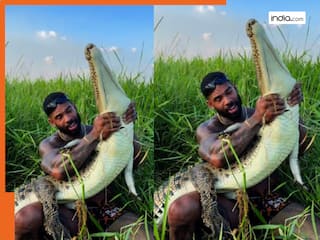 india.com top news
