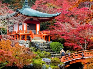 Daigo-ji Temple: A Journey Through Kyoto’s Timeless World Heritage Site