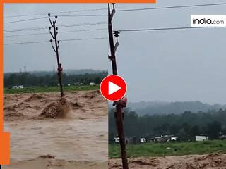 होश उड़ाने वाला वीडियो! अचानक पानी के सैलाब में फंस गया शख्स, जान बचाने के लिए...NDRF ने किया रेस्क्यू, देखिए