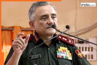 CDS Anil Chauhan makes BIG statement amid India-China reset, says boundary dispute with China is...