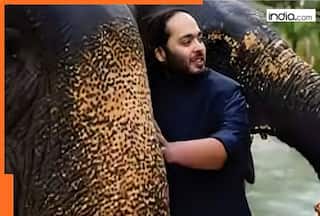 Big Win for Anant Ambani as Supreme Court appointed SIT gives clean chit to Vantara, foundation issues statement, says…