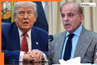 Why Shehbaz Sharif and Muslim leaders are meeting Trump amid Pakistan's 'Islamic NATO' push? The REAL reason is...