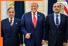 'Hindutva poses threat to...' Shehbaz Sharif spews venom against India at UNGA meet, claims Pak downed 7 Indian jets, thanks Trump for...