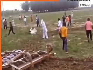 Fight Ka Video: खेत में ही छिड़ गई 'महाभारत', लाठी-डंडे तो चले ही एक का ट्रैक्टर भी छीन लिया | देखें वीडियो