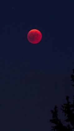 क्या चंद्रग्रहण देखने से आंखें खराब होती हैं? साइंस ने बताई पूरी सच्चाई