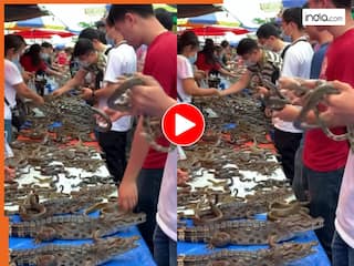 Magarmach Ka Video: सब्जी की तरह बिकने लगे मगरमच्छ और सांप! खरीदने के लिए उमड़ पड़ी भीड़ | देखें वीडियो