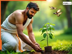 Pitru Paksha 2025: पितरों को करना है प्रसन्न है तो पितृ पक्ष में घर में लगाएं ये 3 पौधे...दूर होंगे सभी दोष, आएगी सुख-समृद्धि