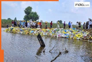 Reliance Foundation extends helping hand to flood-stricken Punjab, makes THESE 10 announcements