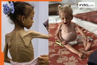 Big Gaza plan: International force to replace IDF, Palestinian Authority to manage internal security; Hamas to be...