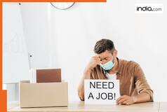 Massive job cuts likely in Accenture and TCS, thousands of employees expected to get..., IT Sector in India to...