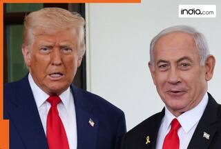Netanyahu agrees to stop Gaza war, Trump presents 20-point peace plan, tells Netanyahu, 'If Hamas doesn't agree...', 20 points are...