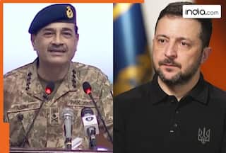 Why did Ukrainian President Zelensky support US tariffs on India is now clear; it has Pakistan connection