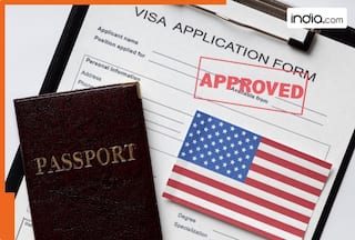 'No public data showing...':  Hindu American Foundation lashes out at US Economist over Chennai consulate's 220,000 H-1B visas remark, says, new visas selected...