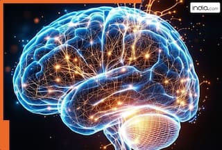 दिमागी बीमारी होने पर दिखने लगते हैं ये 5 लक्षण! इग्नोर करने पर चुकानी पड़ सकती है लंबी कीमत
