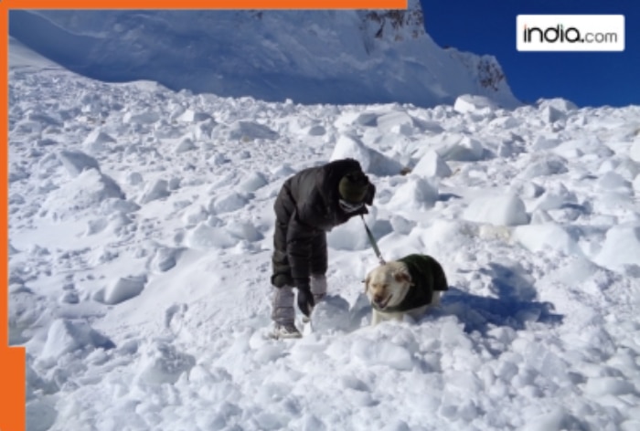 Three soldiers killed in Siachen Glacier avalanche; Key updates