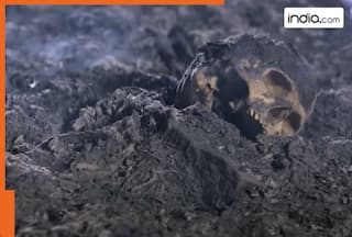 From Bhootakalam, Masooda to Aval, check out one of finest horror thrillers on OTT that will send chills down your spine, streaming on...