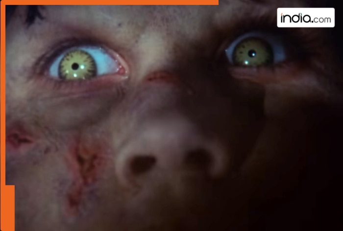 This 2-hour horror thriller film was released in only 25 theatres, made on budget of Rs 104 crore, earned Rs 3858 crore, movie is..., lead stars were...