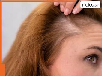 india.com top news