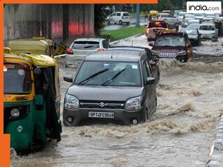 नोएडा में भारी बारिश और बाढ़ का कहर! सुरक्षा के मद्देनजर कल सभी स्कूल रहेंगे बंद, प्रशासन ने जारी किया अलर्ट