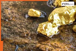 18356000 KGs: This Indian state hits jackpot, set to extract massive amount of gold from..., gives mining contract to...