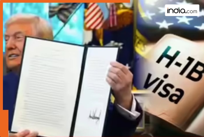 H-1B visa chaos: Big statement by US official, set to affect all Indian visa holders due to...