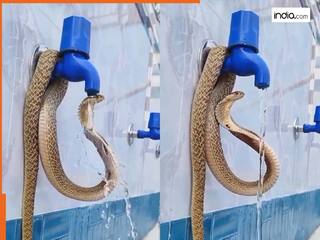 Naag Ka Video: प्यास से तड़प रहा था नाग, फिर उसने जो किया देखकर हिल गया इंटरनेट | देखें वीडियो