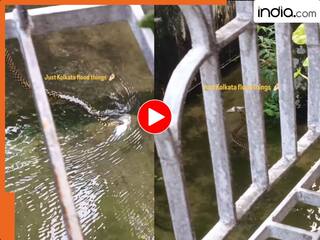 india.com top news