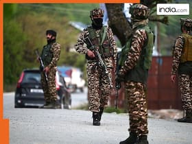 india.com top news