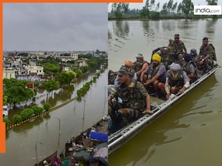 पंजाब में बाढ़ के कारण 3 लाख लोगों को छोड़ना पड़ा घर, दिल्ली में यमुना का रौद्र रूप, नोएडा-गाजियाबाद में स्कूल बंद
