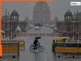 दिल्ली-NCR में अचानक बदला मौसम, तेज आंधी के साथ बरसे बादल, दिन में छाया अंधेरा