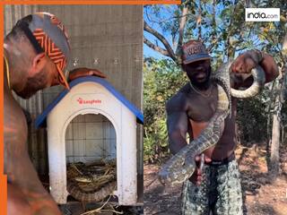 Azgar Ka Video: चुपके से मुर्गियों के बीच छिप गया अजगर, फिर जो दिखा रोंगटे ही खड़े हो जाएंगे | देखें वीडियो