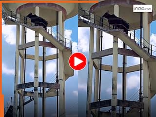 Bull Viral Video: 60 फीट ऊपर पानी की टंकी पर चढ़ गया सांड, फिर जो हुआ कल्पना भी नहीं कर सकते | देखें वीडियो